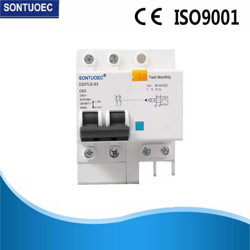 DZ47LE-63 Leakage Circuit Breaker